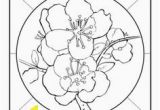 Delaware State Flower Coloring Page New York State Flower Design Pinterest