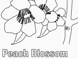 Delaware State Flower Coloring Page State Birds Coloring Pages Delaware State Flower Coloring Page Fresh