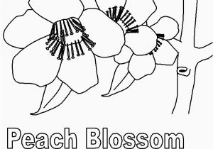 Delaware State Flower Coloring Page State Birds Coloring Pages Delaware State Flower Coloring Page Fresh