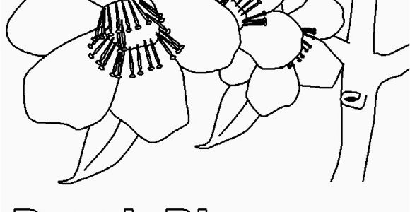 Delaware State Flower Coloring Page State Birds Coloring Pages Delaware State Flower Coloring Page Fresh