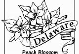 Delaware State Flower Coloring Page State Flower Coloring Pages Delaware State Flower Coloring Page