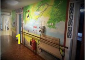 Dementia Friendly Wall Murals 34 Best Care Home Mural Ideas Images