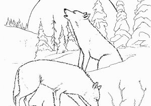 Detailed Wolf Coloring Pages for Adults Wolf Coloring Pages 02