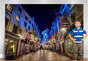 Diagon Alley Wall Mural the Alley