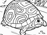 Diego Halloween Coloring Pages Malvorlage Schildkröte