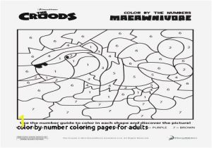 Difficult Color by Number Coloring Pages 27 Color by Number Coloring Pages for Adults