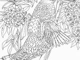 Difficult Printable Coloring Pages for Adults Get This Difficult Adult Coloring Pages to Print Out