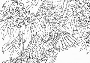 Difficult Printable Coloring Pages for Adults Get This Difficult Adult Coloring Pages to Print Out