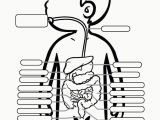 Digestive System Coloring Page for Kids Coloring Page for Digestive System Coloring Home