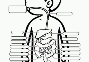 Digestive System Coloring Page for Kids Coloring Page for Digestive System Coloring Home