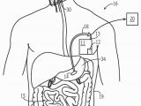 Digestive System Coloring Page for Kids Coloring Pages Digestive System Coloring Home