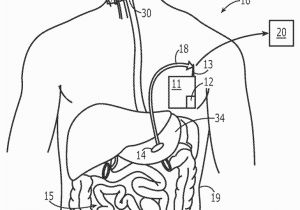 Digestive System Coloring Page for Kids Coloring Pages Digestive System Coloring Home