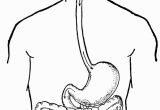 Digestive System Coloring Page for Kids Digestive System Coloring Page Coloring Pages for Kids