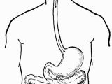 Digestive System Coloring Page for Kids Digestive System Coloring Page Coloring Pages for Kids