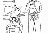 Digestive System Coloring Page for Kids Digestive Tract Coloring Page Elementary