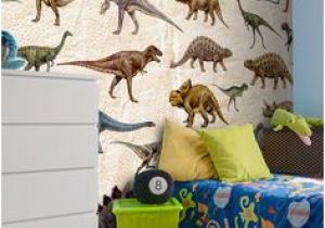 Dinosaur Wall Mural Uk 283 Best Murals for Kids Images