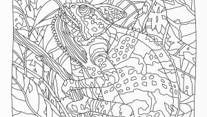 Disney Animal Kingdom Coloring Pages Hidden Predators Coloring Book Mindware