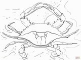 Disney Channel Jessie Coloring Pages atlantic Ocean Blue Crab Coloring Page