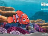 Disney Finding Nemo Wall Mural Nemo