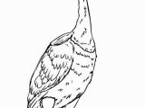 Disney Movie Up Coloring Pages Beautiful Disney Up Character Kevin the Bird Coloring Page