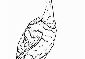 Disney Movie Up Coloring Pages Beautiful Disney Up Character Kevin the Bird Coloring Page