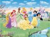 Disney Princess Wallpaper Murals Pin by Mcpherson Giftware On Disney Murals Pinterest