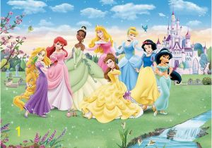 Disney Princess Wallpaper Murals Pin by Mcpherson Giftware On Disney Murals Pinterest