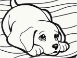 Dog and Cat Coloring Pages Printable Dog Colouring Pages Free Printable Dog and Cat Coloring Pages Luxury