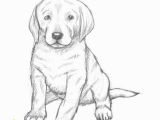 Dog Coloring Pages that Look Real are You Looking for A Tutorial On How to Draw A Puppy