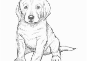 Dog Coloring Pages that Look Real are You Looking for A Tutorial On How to Draw A Puppy