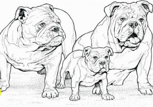 Dog Coloring Pages that Look Real Dog Coloring Pages that Look Real Printable Coloring