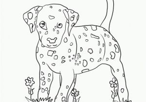 Dog Coloring Pages that Look Real Puppy Coloring Pages for Girls Coloring Home