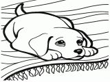 dog-coloring-pages-to-download-and-print-for-free