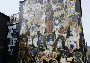 Dog Murals for Wall Dog Mural for Brighton Festival In Kensington St