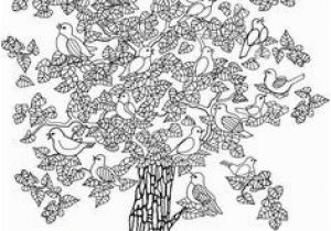 Dogwood Tree Coloring Page 472 Best Flowers to Color Images On Pinterest