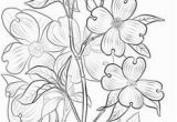 Dogwood Tree Coloring Page 546 Best Coloring Pages Images On Pinterest In 2018