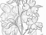 Dogwood Tree Coloring Page 546 Best Coloring Pages Images On Pinterest In 2018