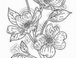 Dogwood Tree Coloring Page 69 Best Dogwoods Images On Pinterest