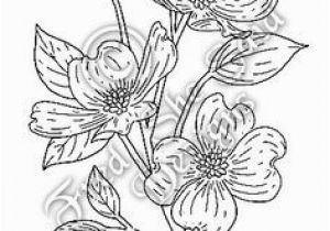 Dogwood Tree Coloring Page 69 Best Dogwoods Images On Pinterest