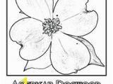 Dogwood Tree Coloring Page 69 Best Dogwoods Images On Pinterest