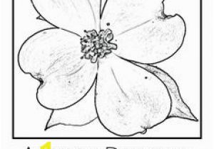 Dogwood Tree Coloring Page 69 Best Dogwoods Images On Pinterest