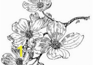 Dogwood Tree Coloring Page 9 Best Tattoo Ideas Images