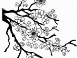 Dogwood Tree Coloring Page Sakura Bloom Drawing