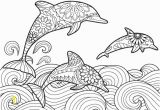 Dolphin Coloring Pages for Kids Pin by Muse Printables On Adult Coloring Pages at Coloringgarden