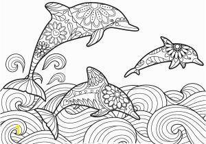 Dolphin Coloring Pages for Kids Pin by Muse Printables On Adult Coloring Pages at Coloringgarden