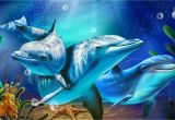 Dolphin Wall Mural Decals Dolphin Animated Wallpapers Find Best Latest Dolphin