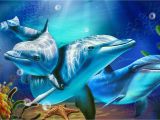 Dolphin Wall Mural Decals Dolphin Animated Wallpapers Find Best Latest Dolphin