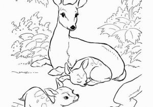 Donkey Face Coloring Page Donkey Coloring Page Elegant Summer Season Coloring Pages Summer