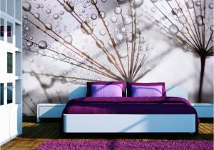 Dorm Room Wall Murals Wallpaper Dandelion and Morning Dew" 3d Wallpaper Murals