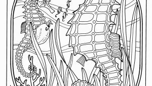 Dover Coloring Pages Printable Coloring for Adults Kleuren Voor Volwassenen